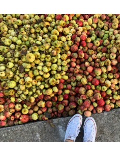 Traditional Natural Cider 2