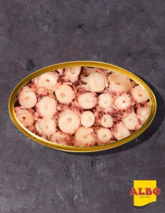Albo Tender Octopus in...