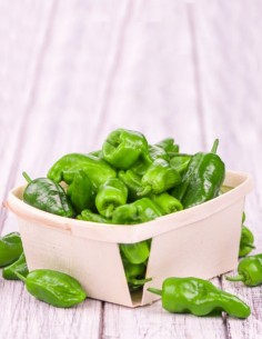 Fresh Padrón Peppers