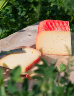 MAHON-MENORCA PDO SEMICURED