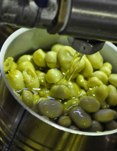 LC Baby Broad Beans in... 2