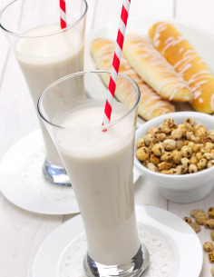 Horchata de Chufas by Mercader 2