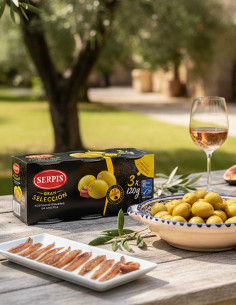 Aceitunas Relllenas Anchoa...